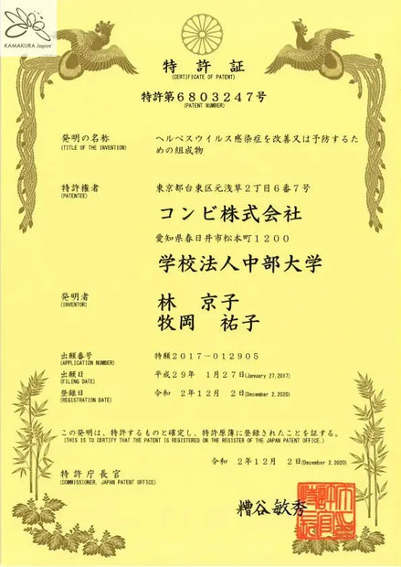 REIKA LAB Weight Balance Support – Black Ginger Extract Sachets (2 Sticks Daily) | Made in Japan - TokyoSupplements.com.au